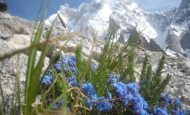 CLIMBING IN CHARKUSA VALLEY